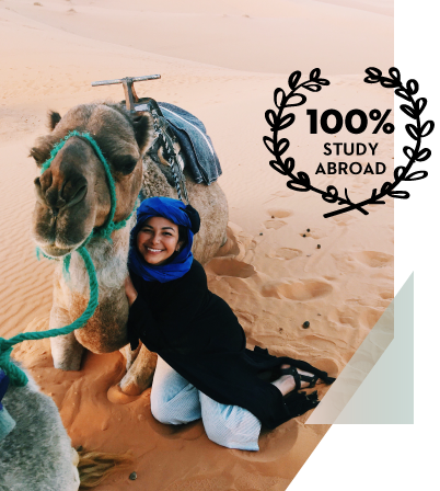 university of maryland school of music application portal 100% Study Abroad