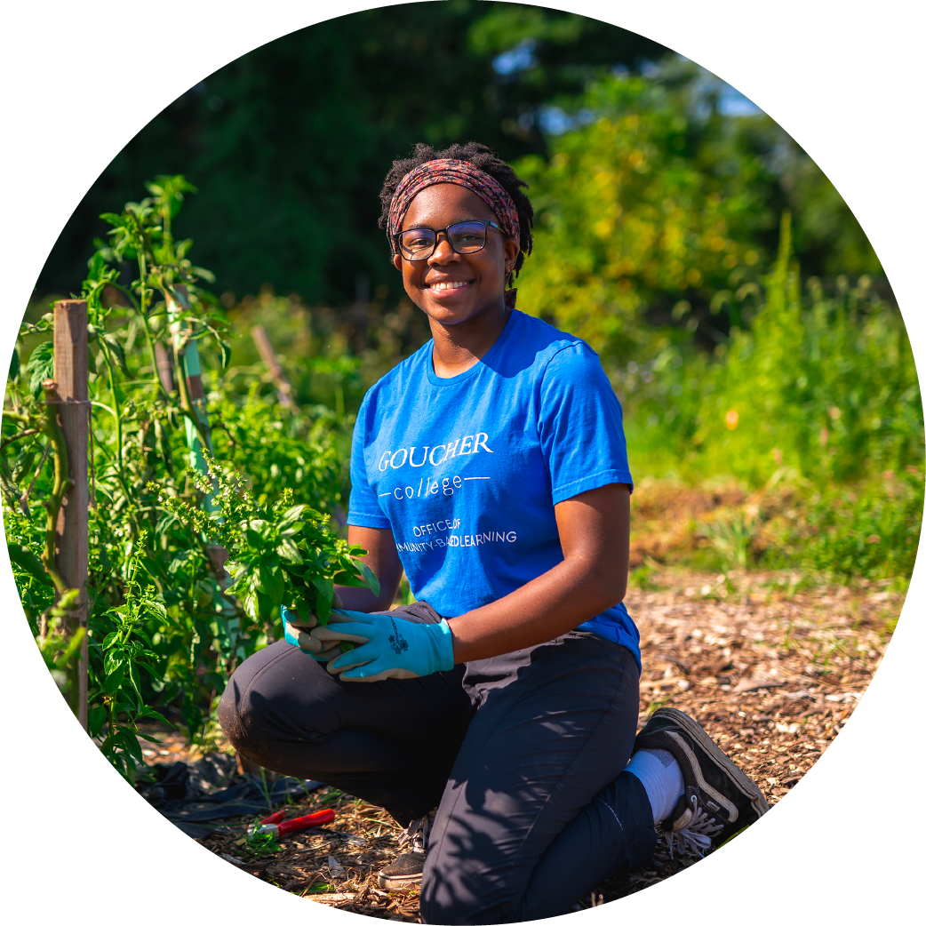A Goucher students kneels among vegetable plants at a community garden project.