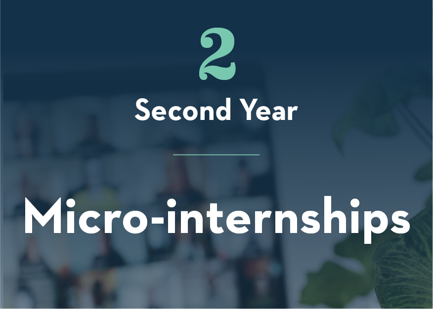 Internship Accelerator 2nd Year