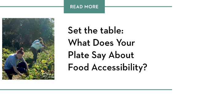 Set the table: what does your plate say about food accessibility?
