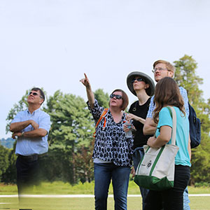 People in field pointing up