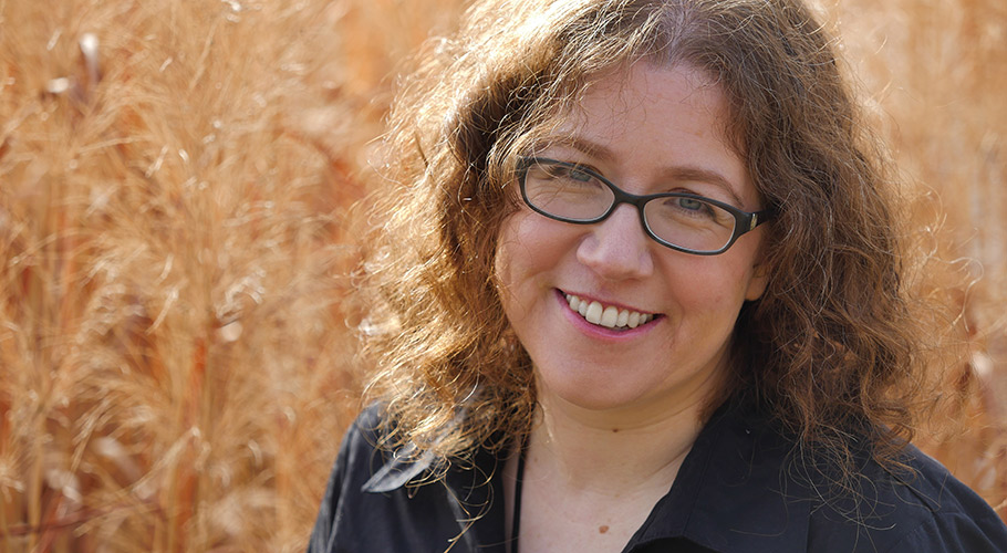 a song for a new day sarah pinsker a song for a new day sarah pinsker