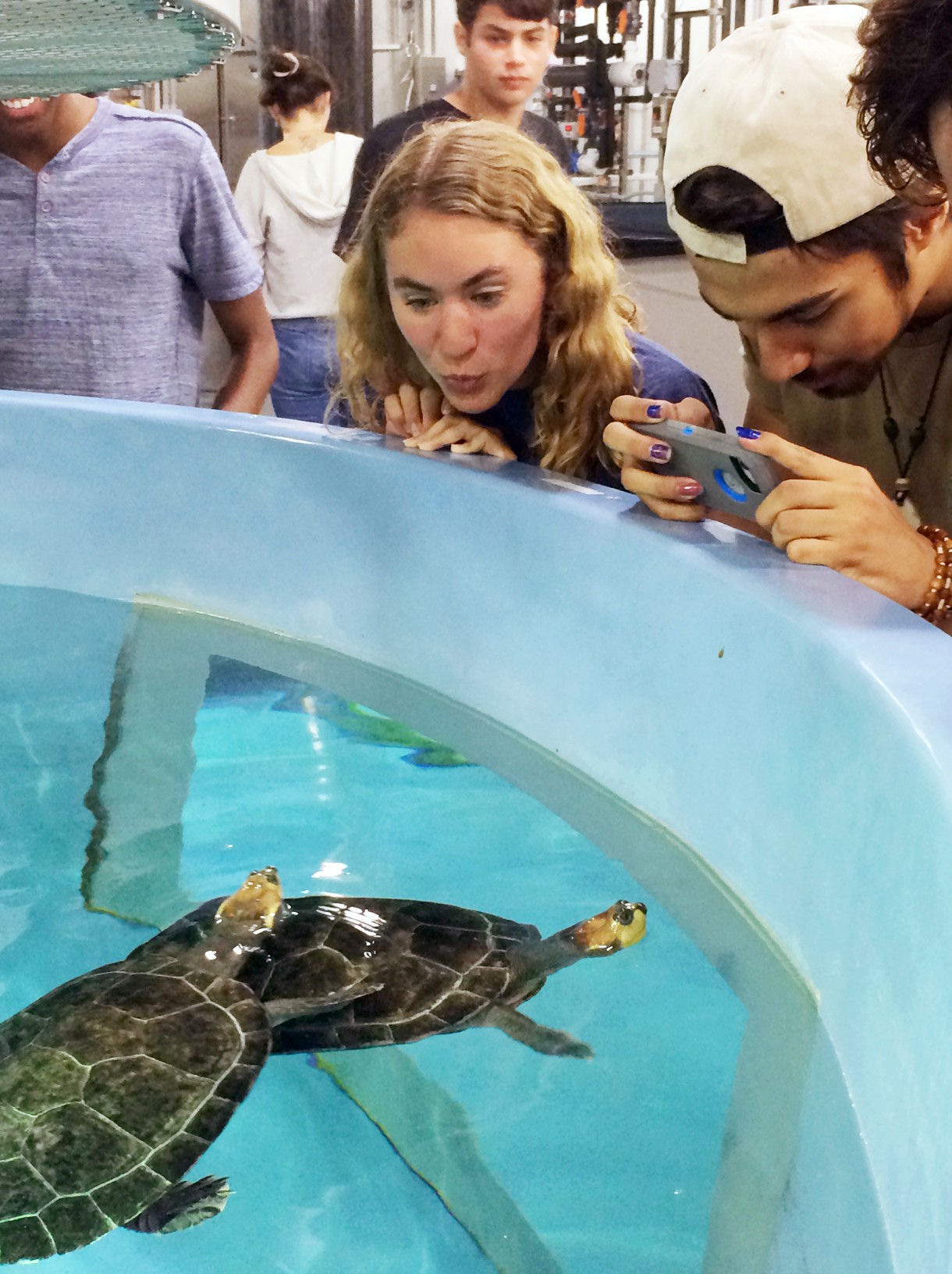 Goucher students at the National Aquarium in Baltimore