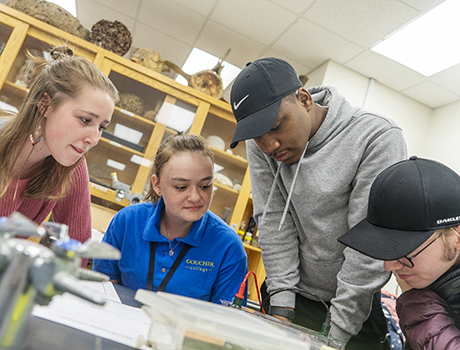 Image associated with Goucher College establishes $2 million endowed professorship in biological sciences and chemistry news item