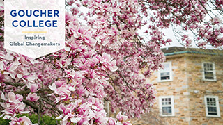 Leaves on tree in spring with Huebeck Hall in the background