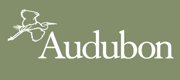 Audubon logo