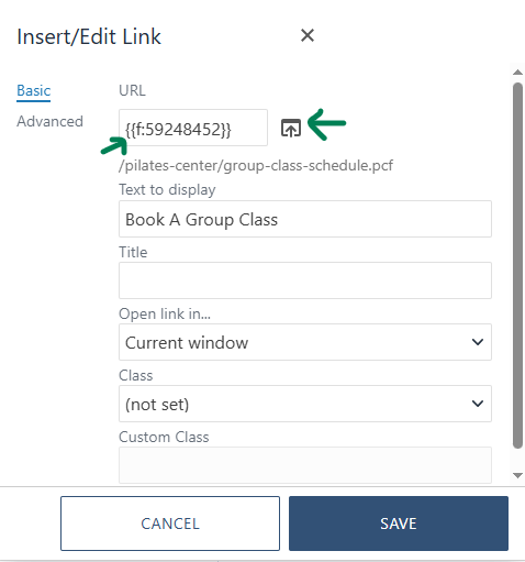 The Insert/Edit Link window includes a URL field and a file explorer button. Once an internal file is selected, the CMS will generate a dependency tag in the URL field.